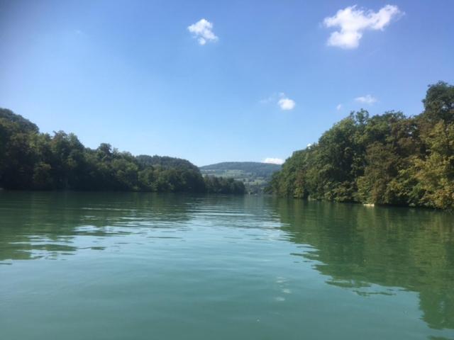 Swiss View Lägenhet Hohentengen am Hochrhein Exteriör bild